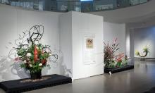 Overview 01.jpg 6.1K